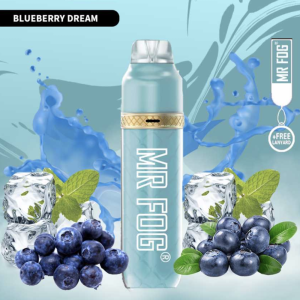 MR FOG BLUEBERRY DREAM - 3600 PUFFS
