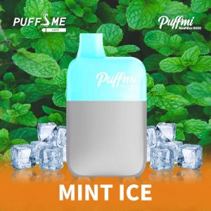 PUFFMI MINT ICE - 5000 PUFFS