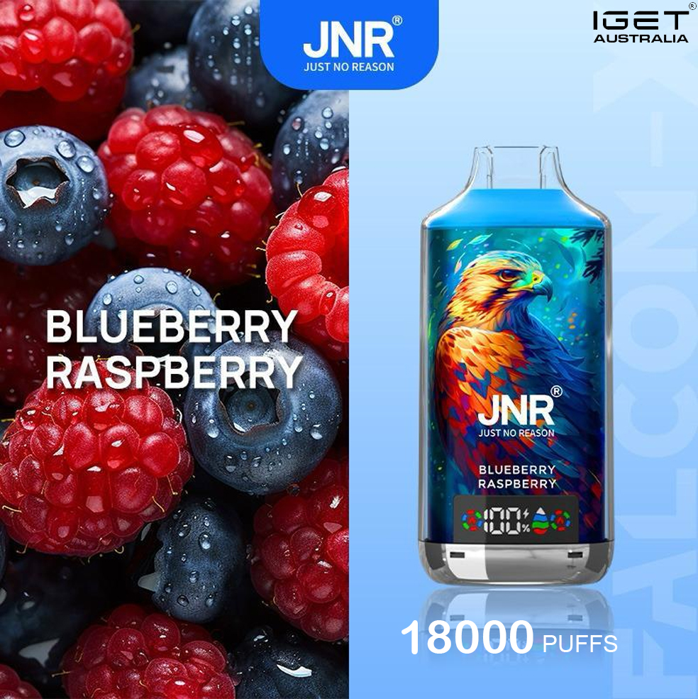 JNR FALCON -X BLUEBERRY RASPBERRY - 18000 PUFFS