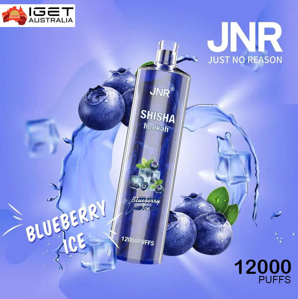JNR SHISHA HOOKAH - BLUEBERRY ICE - 12000 PUFFS