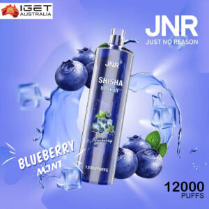 JNR SHISHA HOOKAH - BLUEBERRY MINT - 12000 PUFFS