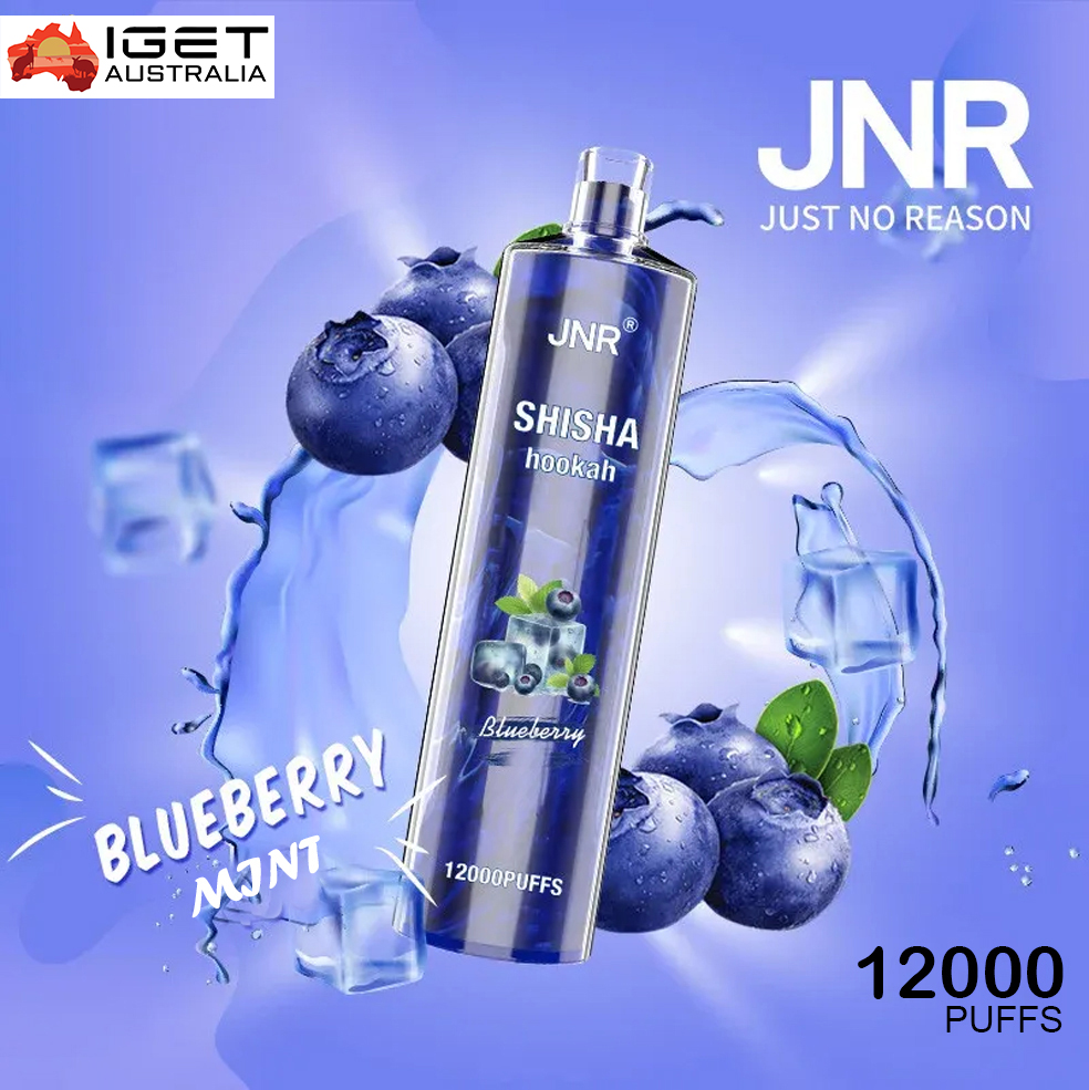 JNR SHISHA HOOKAH - BLUEBERRY MINT - 12000 PUFFS