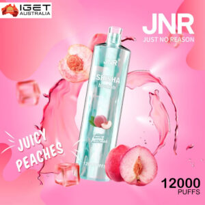 JNR SHISHA HOOKAH - JUICY PEACHES - 12000 PUFFS