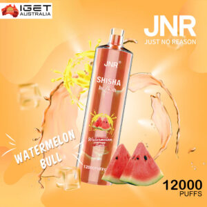 JNR SHISHA HOOKAH - WATERMELON BULL - 12000 PUFFS