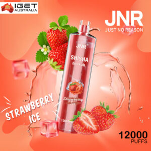 JNR SHISHA HOOKAH WATERMELON ICE - 12000 PUFFS