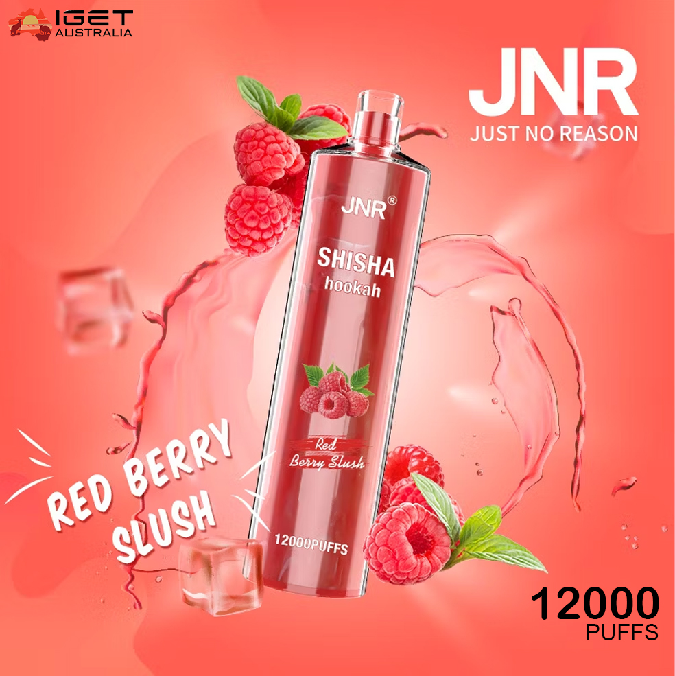 JNR SHISHA HOOKAH - RED BERRY BLUSH - 12000 PUFFS