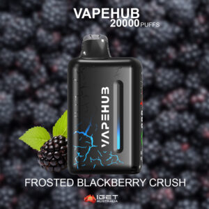 VAPEHUB FROSTED BLACKBERRY CRUSH - 20000 PUFFS