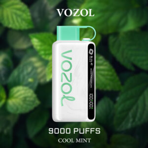 VOZOL COOL MINT - 9000 PUFFS
