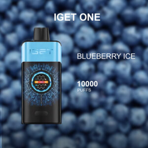 IGET ONE BLUEBERRY ICE - 10000 PUFFS