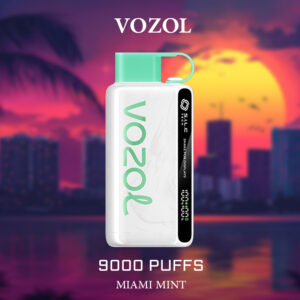 VOZOL 9000 PUFFS