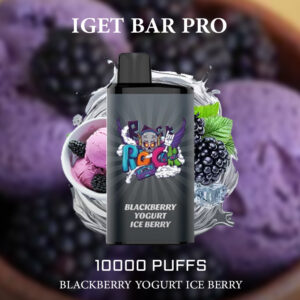 IGET BAR PRO BLACKBERRY YOGURT ICE BERRY - 10000 PUFFS